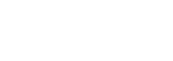 Accsoon